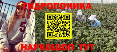 хмурый Кинель