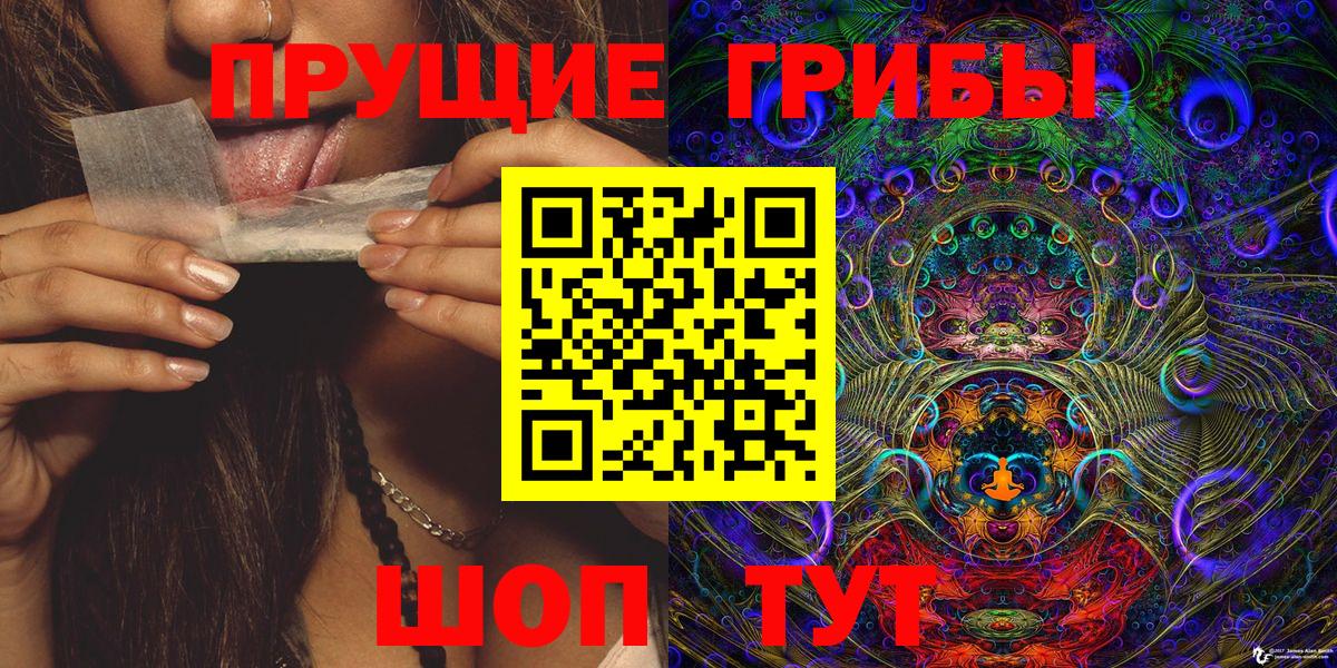Кострома  Псилоцибиновые грибы MAGIC MUSHROOMS  Галлюциногенные грибы Cubensis  Вход с VPN 