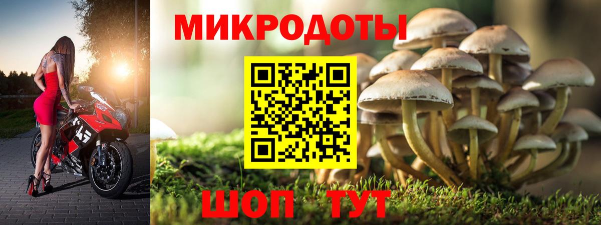 Галлюциногенные грибы мицелий Кострома